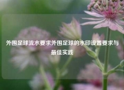 外围足球流水要求外围足球的水印设置要求与最佳实践