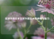 足球外围反水足球外围反水的神秘与魅力