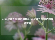 bet365足球外围网站揭秘Bet365足球外围网站的神秘世界