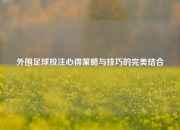 外围足球投注心得策略与技巧的完美结合