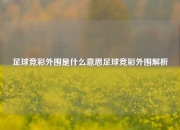 足球竞彩外围是什么意思足球竞彩外围解析