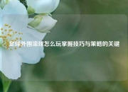 足球外围滚球怎么玩掌握技巧与策略的关键