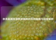 体育新闻央视网央视网的实时报道与深度解析