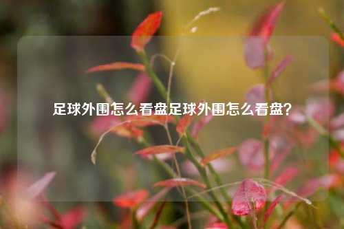足球外围怎么看盘足球外围怎么看盘？