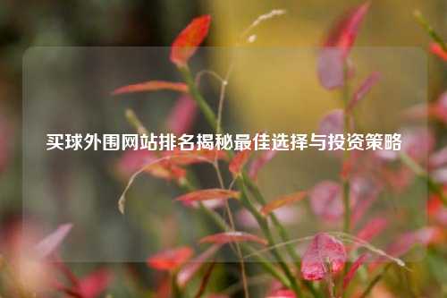 买球外围网站排名揭秘最佳选择与投资策略