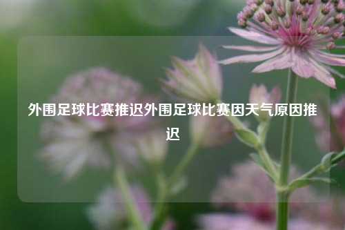 外围足球比赛推迟外围足球比赛因天气原因推迟