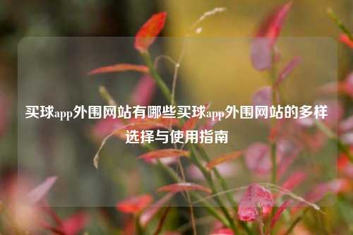 买球app外围网站有哪些买球app外围网站的多样选择与使用指南