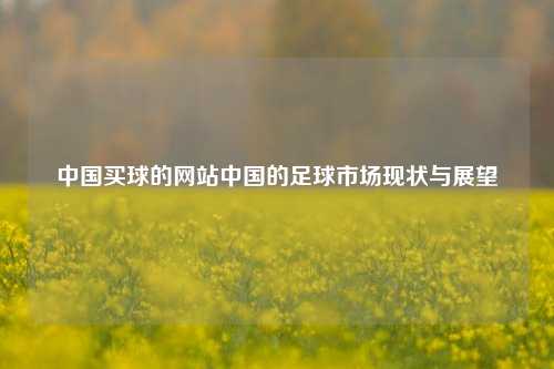中国买球的网站中国的足球市场现状与展望