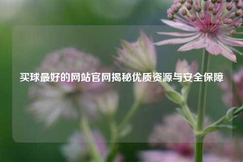 买球最好的网站官网揭秘优质资源与安全保障