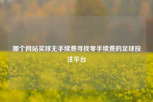 哪个网站买球无手续费寻找零手续费的足球投注平台
