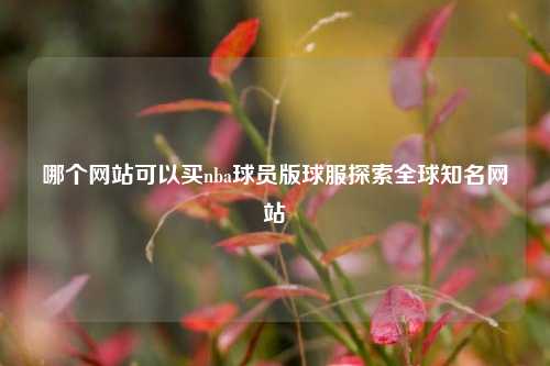 哪个网站可以买nba球员版球服探索全球知名网站