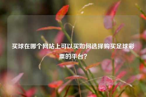 买球在哪个网站上可以买如何选择购买足球彩票的平台？