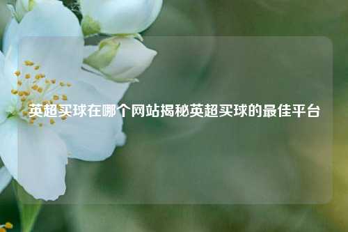 英超买球在哪个网站揭秘英超买球的最佳平台