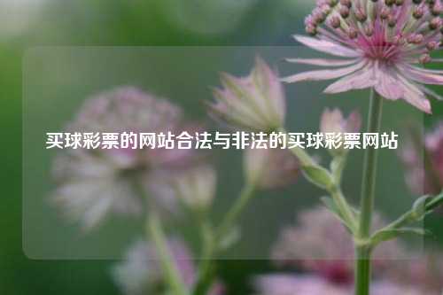 买球彩票的网站合法与非法的买球彩票网站