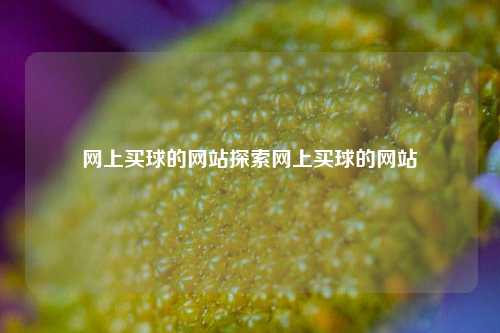 网上买球的网站探索网上买球的网站